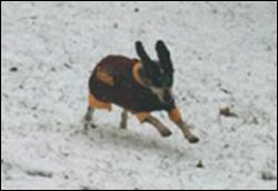 Click to view exif information